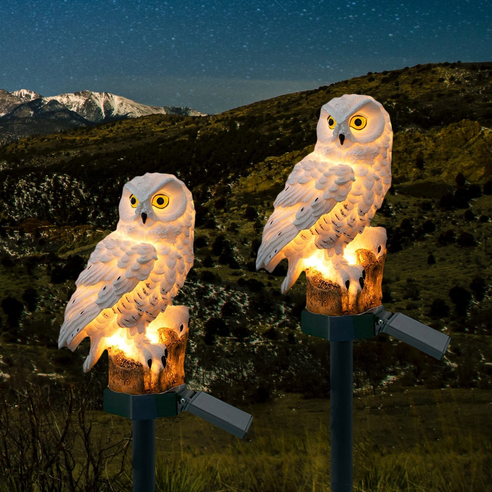DOUBLE 2 C Solar Garden Light Outdoor, Owl Solar Garden Stake